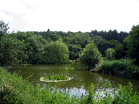 sherwood forest fishery.gif